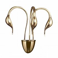 бра lightstar cigno collo 751632 в Красноярске