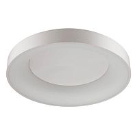 потолочный светодиодный светильник odeon light sole 4062/80cl в Красноярске