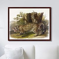 картина: jaguar, 1841г. в Красноярске