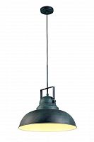 подвесной светильник arte lamp martin a5213sp-1bg в Красноярске