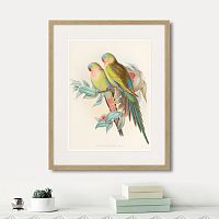 картина: love parrots, 1850г. в Красноярске