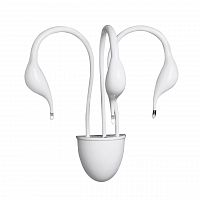 бра lightstar cigno collo wt 751636 в Красноярске