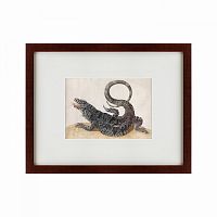 картина: black tegu lizard, 1700 в Красноярске