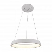 подвесной светодиодный светильник arte lamp a6250sp-1wh в Красноярске