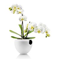 горшок для орхидеи orchid pot белый в Красноярске