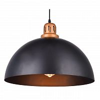 подвесной светильник arte lamp eurica a4249sp-1bk в Красноярске