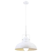 подвесной светильник arte lamp martin a5213sp-1wg в Красноярске