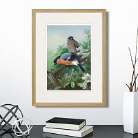 картина: bullfinches, 1915г. в Красноярске