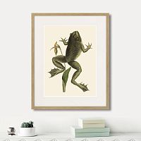 картина: big jumping frog, 1745г. в Красноярске