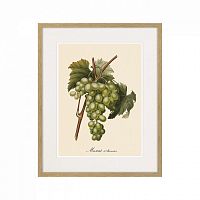 картина juicy fruit lithography №13-1, 1870 г., 42х52 см в Красноярске