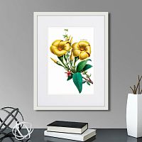 картина: caribian flora yellow allamanda, 1740г. в Красноярске