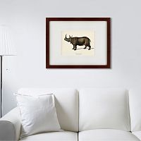 картина: rhinoceros ancienne gravure, 1849 в Красноярске