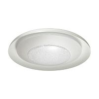 потолочный светодиодный светильник odeon light benso 4623/48cl в Красноярске