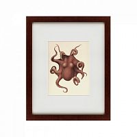 картина: pacific octopus, 1731 в Красноярске