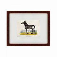 картина: a zebra, 1830 в Красноярске