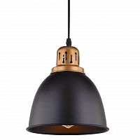 подвесной светильник arte lamp eurica a4245sp-1bk в Красноярске