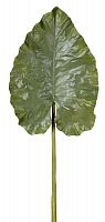 декор giant taro leaf в Красноярске