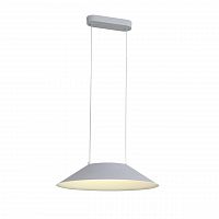 подвесной светодиодный светильник st luce pitto sl427.513.01 в Красноярске