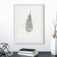 картина: the fern collection №5 в Красноярске