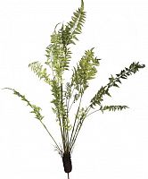 декор fern plant в Красноярске