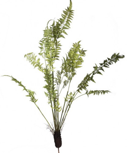 декор fern plant в Красноярске
