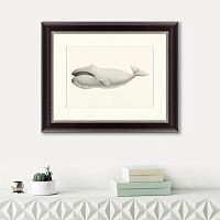 картина: bowhead whale (balaena mysticetus), 1856 в Красноярске