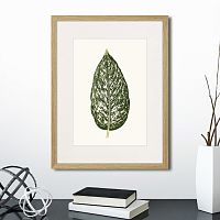 картина: single leaf of a plant №1, 1865г. в Красноярске