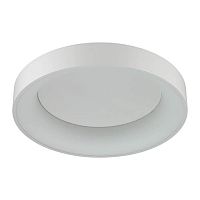 потолочный светодиодный светильник odeon light sole 4062/50cl в Красноярске